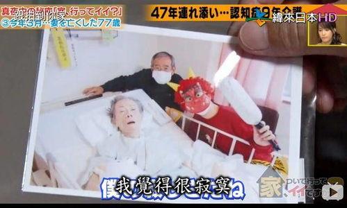 日本寂寞的妻子完整,孤独与渴望的交织