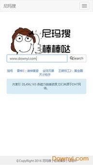 丝袜 尼玛搜 下载,探寻神秘下载背后的故事