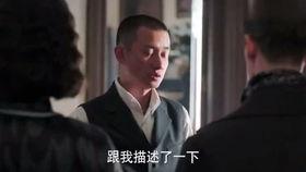 少帅免费观看3集,免费观看前3集，揭秘传奇人生