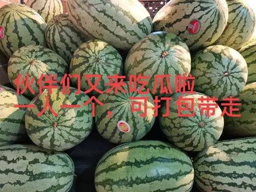 最新大瓜爆料,揭秘明星背后的惊人真相！