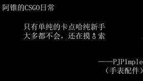 粪骑在线播放,一场颠覆传统的网络狂欢之旅
