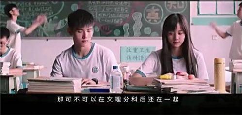 秘果电影国产免费观看,国产青春爱情巨制，免费观看，青春记忆重现！